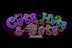 Слоты для игры в кости