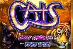 Игровой автомат Джек и бобовый стебель