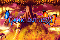 Criss Cross 81 Игровой автомат