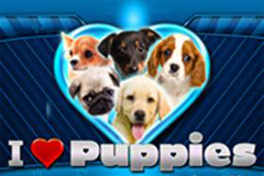 Слоты Празднования Солнцестояния