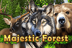 Железное Небо Грядущие Слоты Гонки