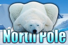 Помпеи Слоты