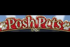 Игры в кости с Пактом Крови