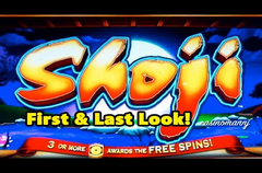 Тайваньские слоты черного медведя