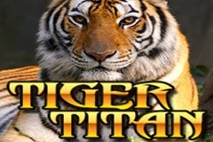 Слот для суши Слот для суши