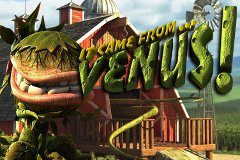 Чудеса Глубоких Слотов