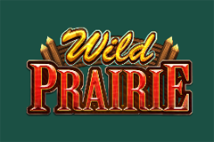 Операция Win Слоты лихорадки